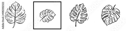 Designed for t-shirts, this botanical logo is of high quality and is the ideal illustration for a modern logo.