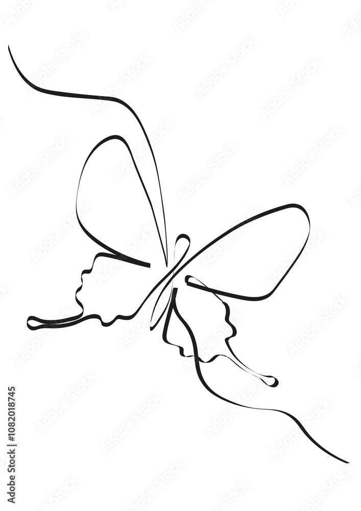 hand drawn butterfly