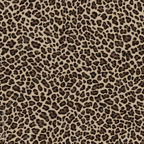 leopard print, jaguar, safari style, wild cat spots, fashionable modern design