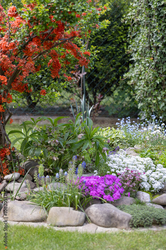 Beautiful colorful spring rock garden, blooming flowers