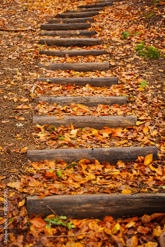 A wooden steps in the autumn forest. arrangement of convenient walking routes for tourists in the park or in the forest. Fallen leaves cover the ground.