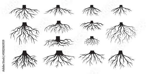 Various realistic tree roots, shrub roots. Parts of plant, root system tree stump. Dendrology, woody plants. Sketch doodle drawing.
