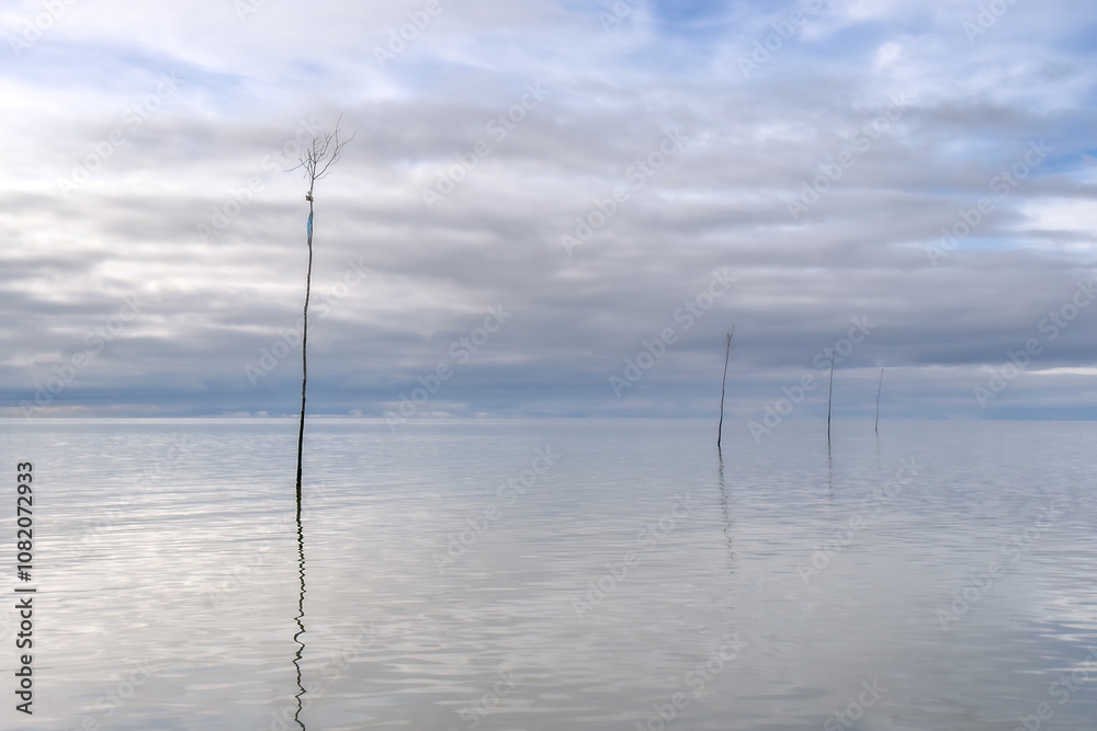 Seascape of stakes marking fishing nets on calm flat Wadden sea Seascape of stakes marking fishing nets on calm flat Wadden sea
