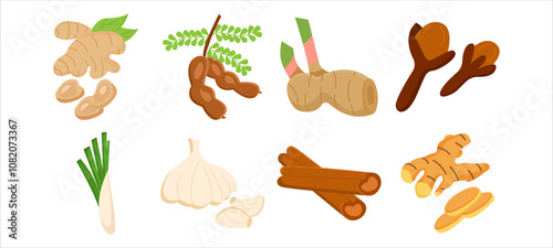set of Indonesian spices. Vector Illustration