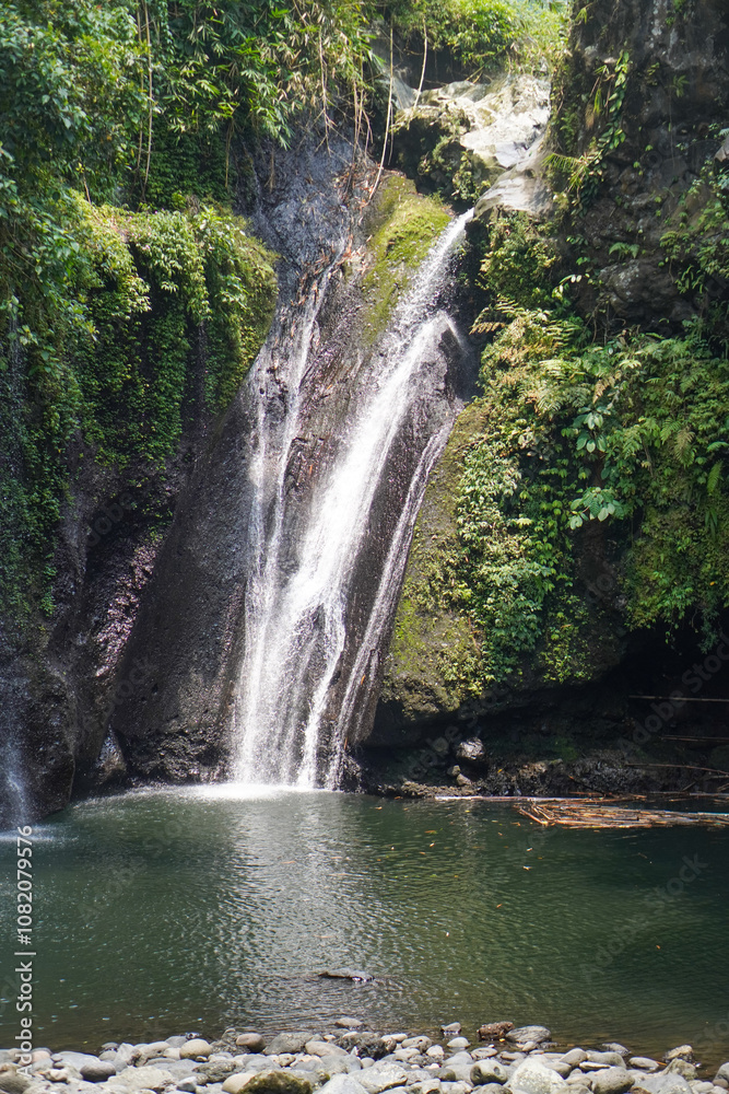 Fototapeta premium The beauty of Tebela Waterfall in Banyumas Regency, Central Java, indonesia. It was taken on November 18, 2024 by a professional. It's a wonderful waterfall with a nice view