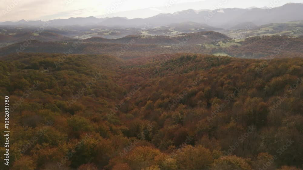 Grandes forêts d'automne