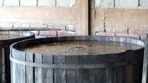 Agave undergoes fermentation in wooden vats at a distillery in oaxaca, mexico, showcasing traditional mezcal production