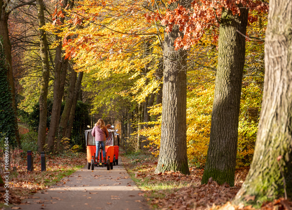 Fototapeta premium children transported in stint on bicycle road in the autumn near utrecht in holland