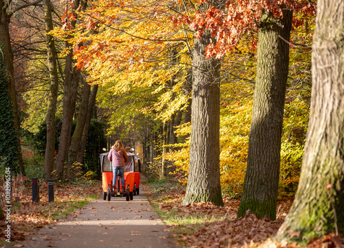 children transported in stint on bicycle road in the autumn near utrecht in holland