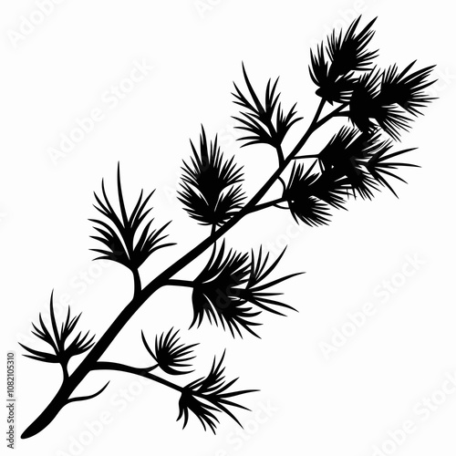 Pine tree branch vector silhouette black illustration on a white background