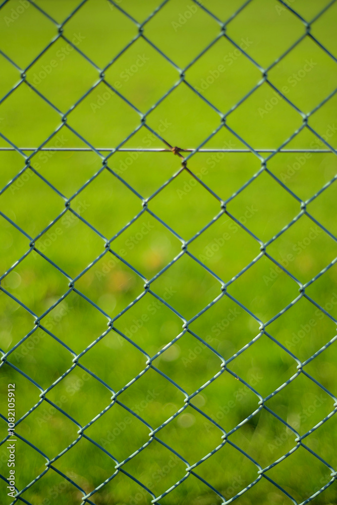 Pradera de hierba verde tras valla de alambre Pradera de hierba verde tras valla de alambre