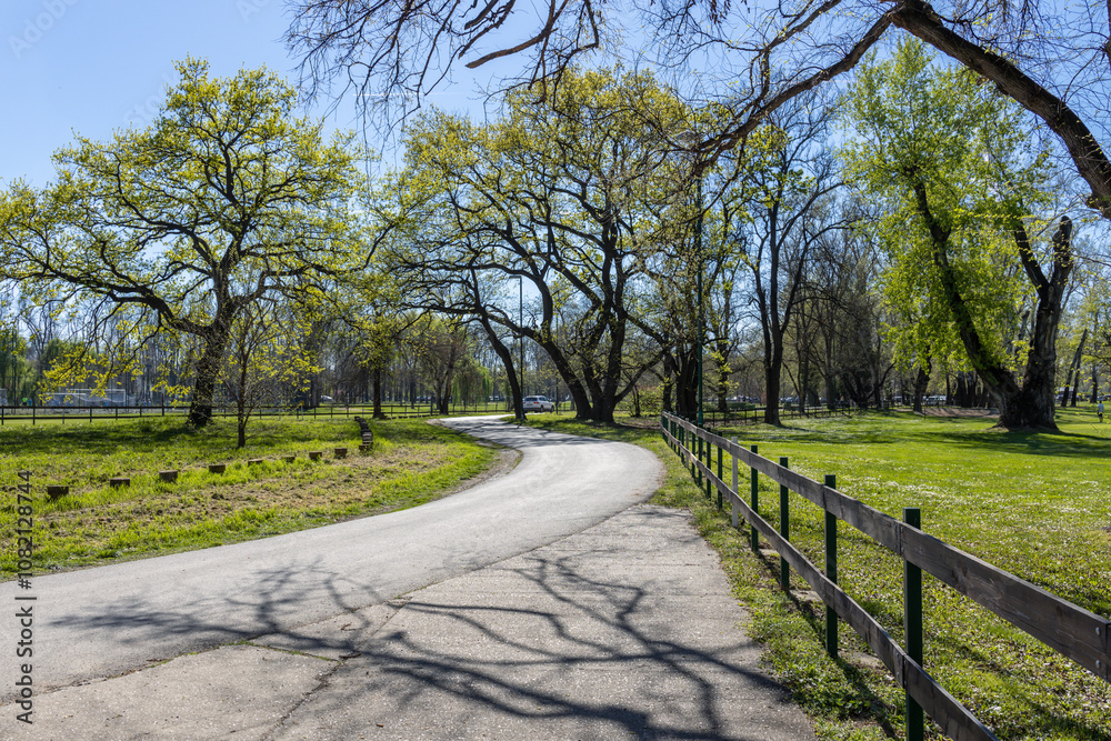 Road with a fence on the side and trees in the background Road with a fence on the side and trees in the background
