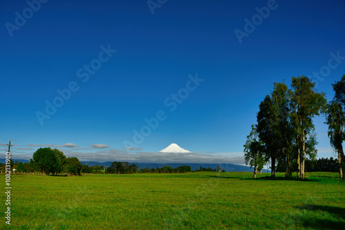 Osorno Vulcano with snow cap green meadows Chile photo