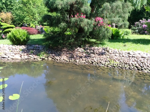 pond in the park photo