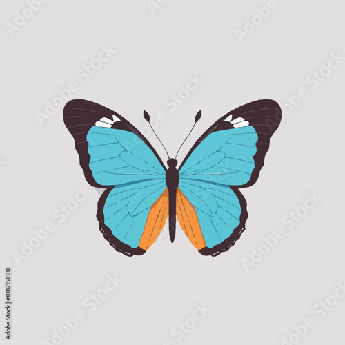 business illustration of a butterfly 