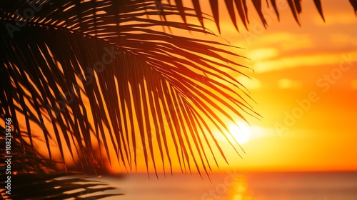 Palm Tree Silhouette Against a Vibrant Sunset Sky