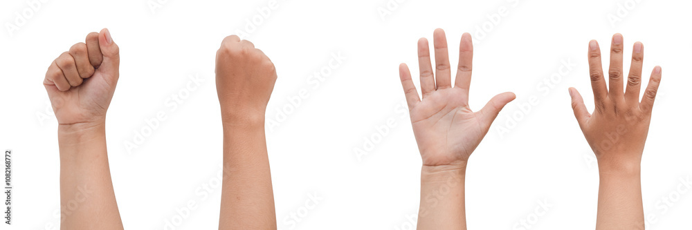 A clenched fist, an open hand, and a raised hand, showcasing various hand gestures against a transparent background A clenched fist, an open hand, and a raised hand, showcasing various hand gestures against a transparent background