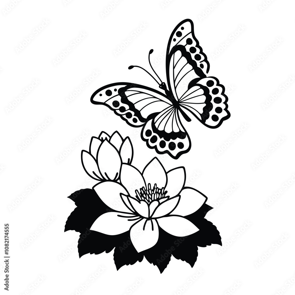 Butterfly design, labeled line and fill art vector illustration. Butterfly design, labeled line and fill art vector illustration.