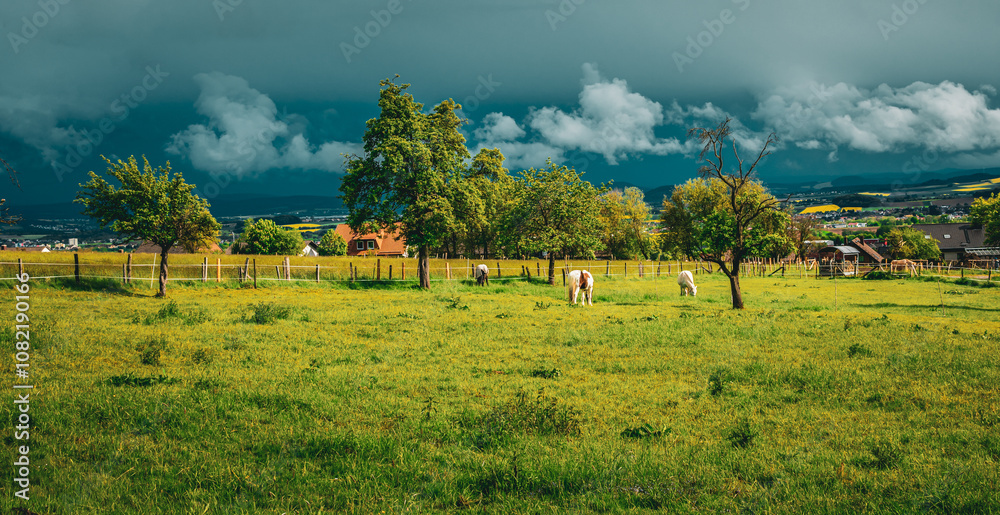 Fototapeta premium landscape in the field with horses