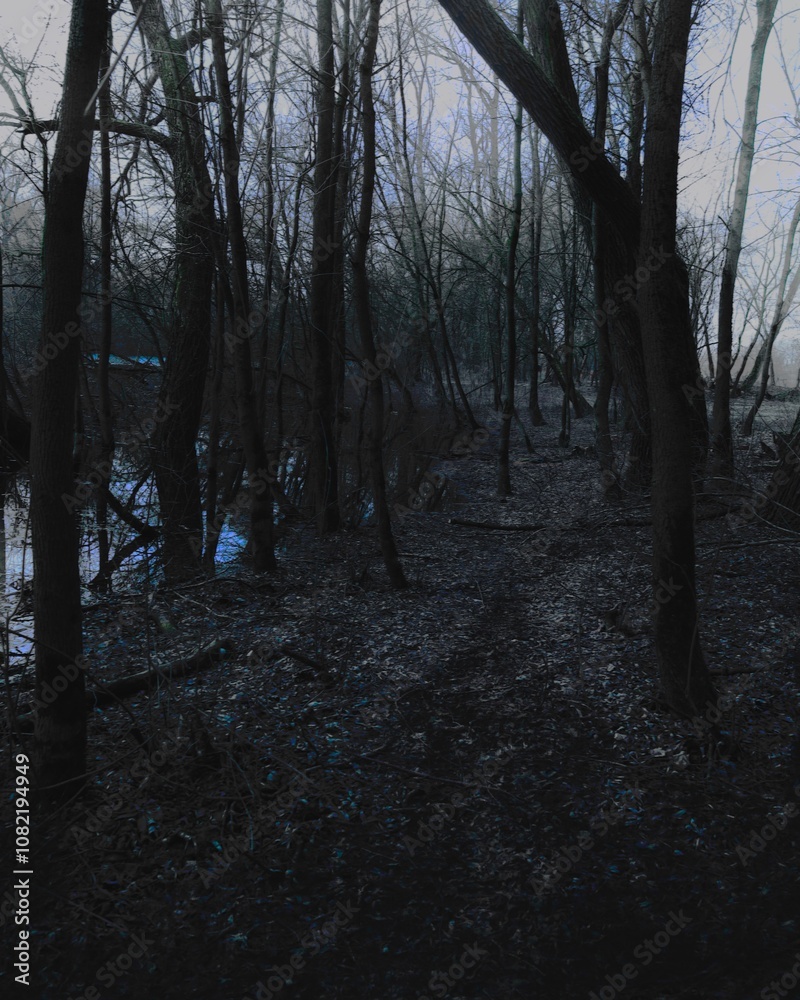 Fototapeta premium Dark fantasy forest, black metal forest, surrealistic atmosphere