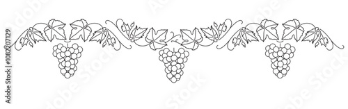 Bunch of grapes. Vine. Vector line drawing on white or transparent background. Grapevine. Seamless grape border. Decorative border. Symmetric.