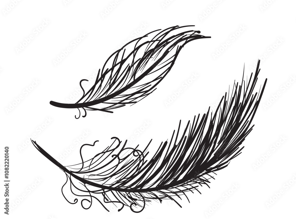 Fototapeta premium Bird feather hand drawn icon, flying dove feathers isolated, doodle soft plume silhouette, feather ink