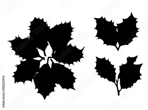 Holly Berries Leaves Icon, Holy Berry Grunge Leaf Symbol, European Ilex Branch silhouette, Xmas Sprig