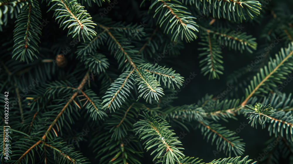 christmas tree branches christmas tree branches