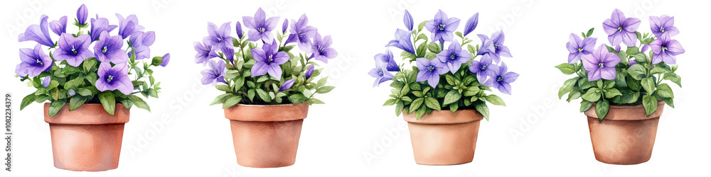 Naklejka premium Captivating Campanula Centerpiece A Vibrant Floral Delight in Terracotta