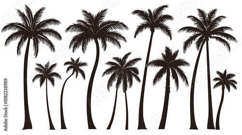 Isolated black palm trees against a white backdrop. silhouettes of palms. creation of palm tree designs for banners, posters, and marketing materials. Vector illustration 