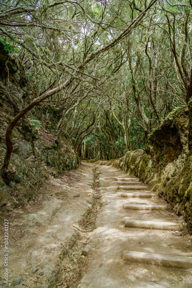 Mystical hiking trail in Rural Anaga Park, Tenerife Mystical hiking trail in Rural Anaga Park, Tenerife