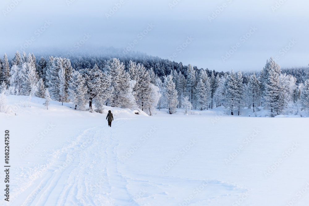 Winter landscape with snow and snowcovered tresss, Lake Inari, Lapland, Finland
Winter landscape with snow and snowcovered tresss, Lake Inari, Lapland, Finland