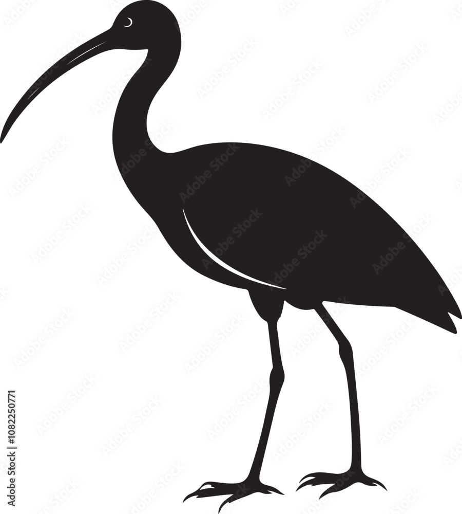 Obraz premium giant ibis bird vector illustration