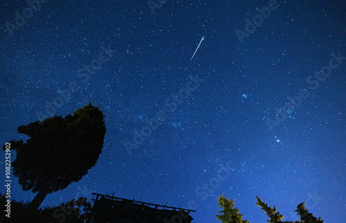 Perseid meteor shower in a beautiful nighttime scene depicting a star-studded sky with a bright shooting star streaking across and trees silhouetted against the deep blue expanse. photo