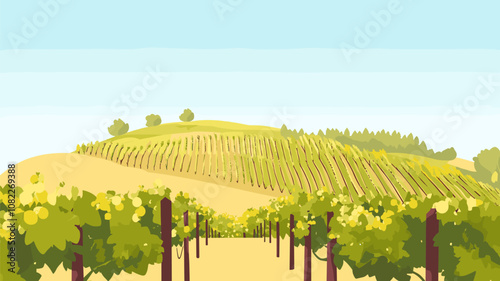 Vineyard on a Sunny Hill