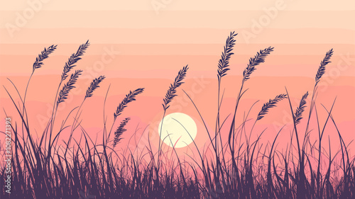 Sunset Grass Field with Silhouetted Wheat