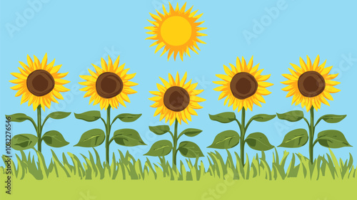 Sunflowers Blooming in Sunny Field
