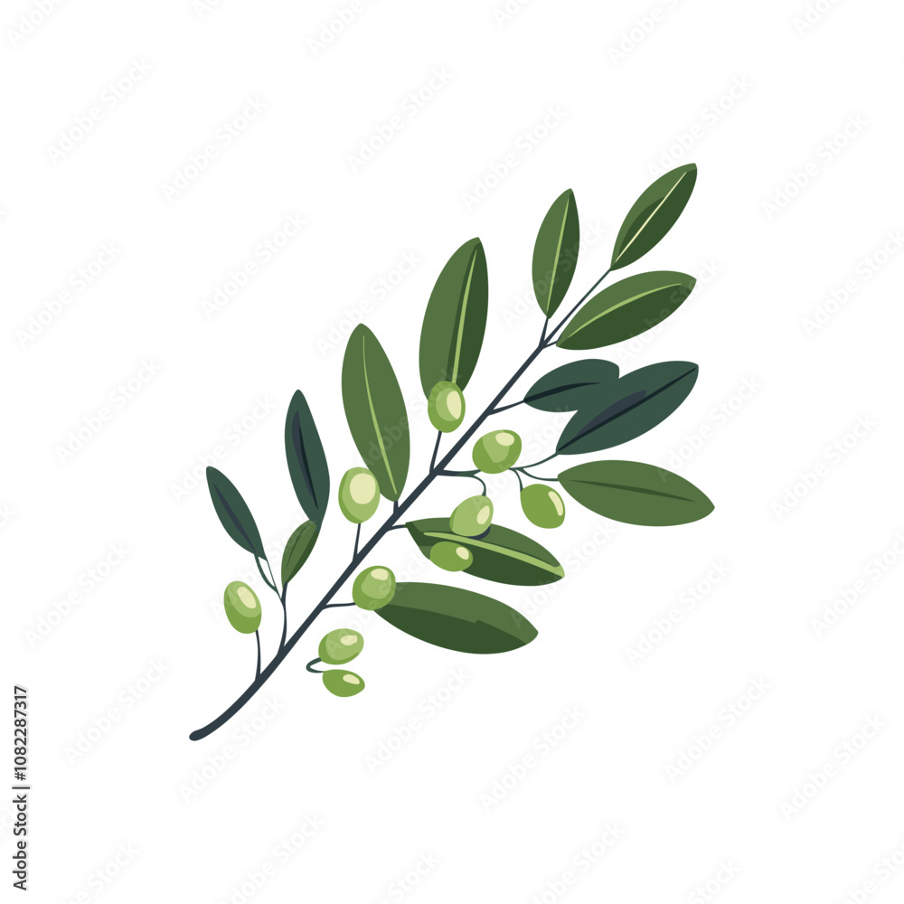 Obraz premium Olive Branch Vector with Green Leaves and Olives for Design