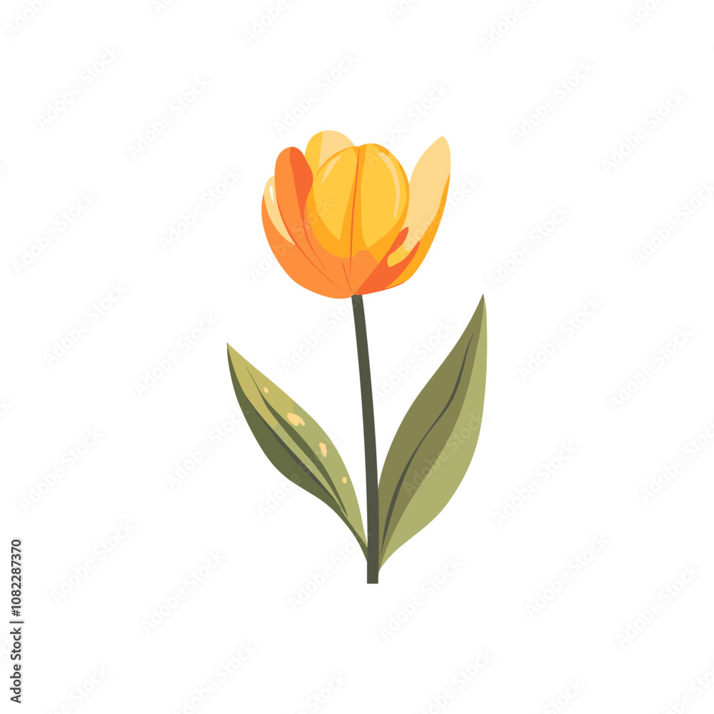 Tulip Flower Vector Illustration - Bright Yellow and Orange Petals Tulip Flower Vector Illustration - Bright Yellow and Orange Petals