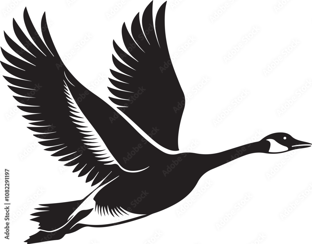 Fototapeta premium Whooper Swan vector illustration
