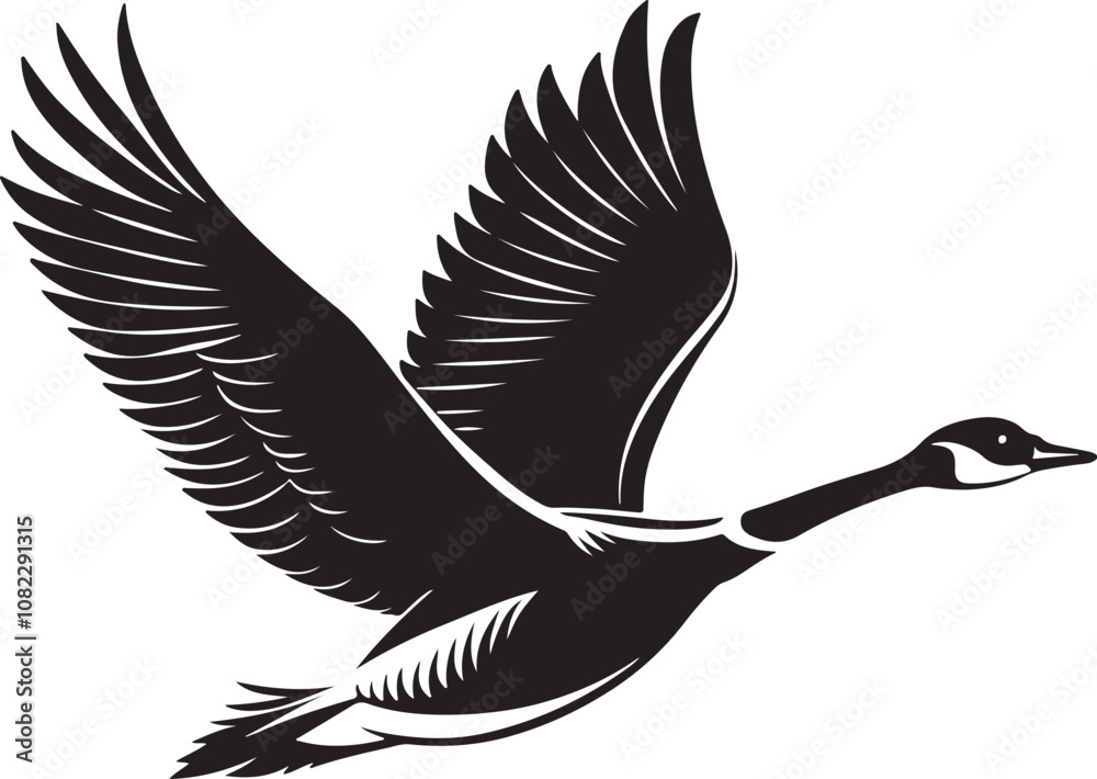 Obraz premium Whooper Swan vector illustration