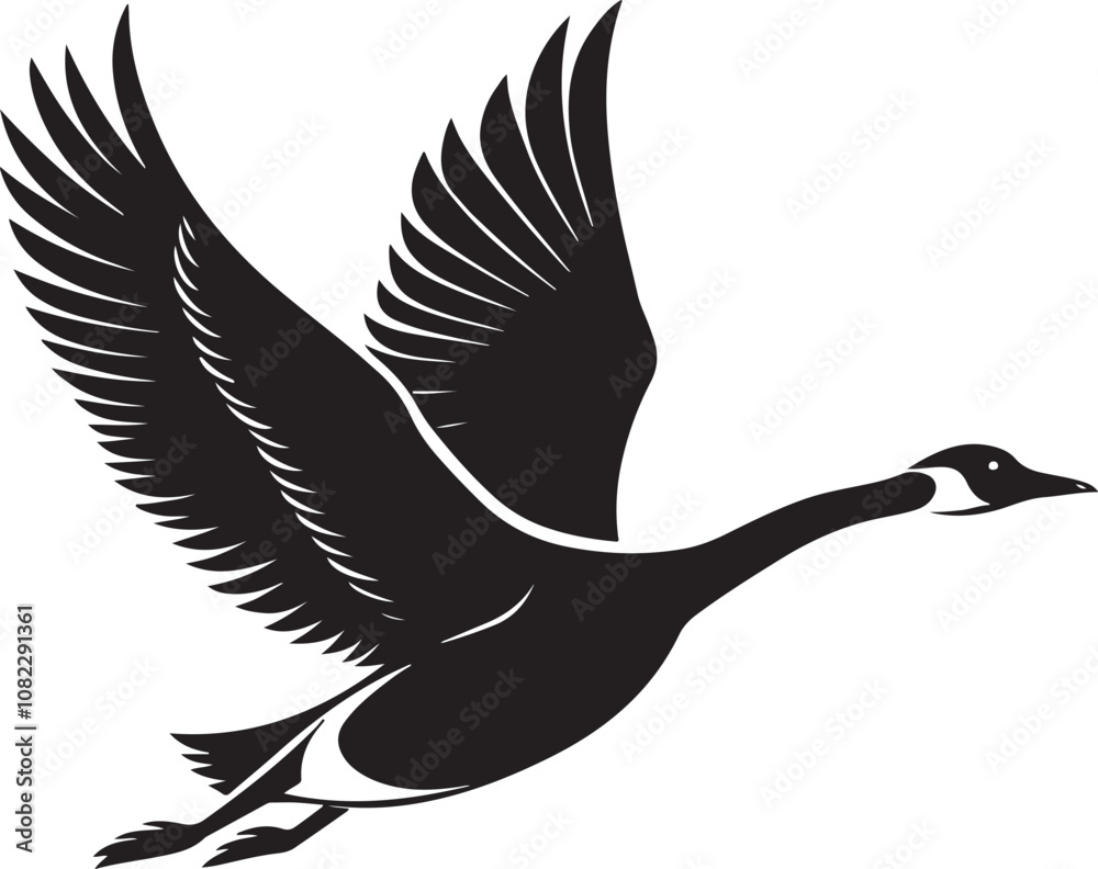 Whooper Swan vector illustration Whooper Swan vector illustration