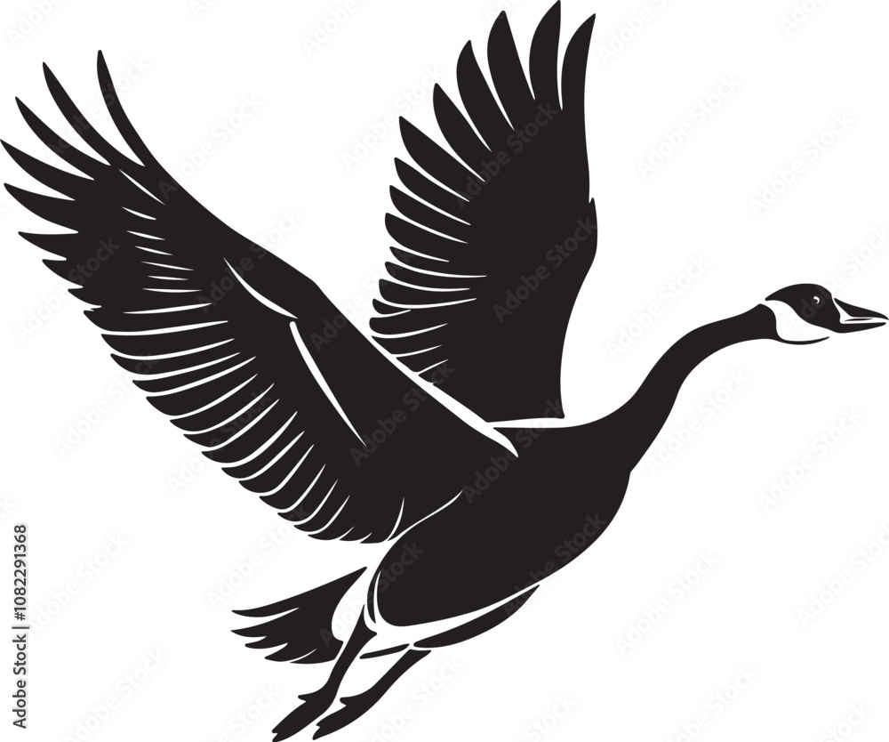 Obraz premium Whooper Swan vector illustration
