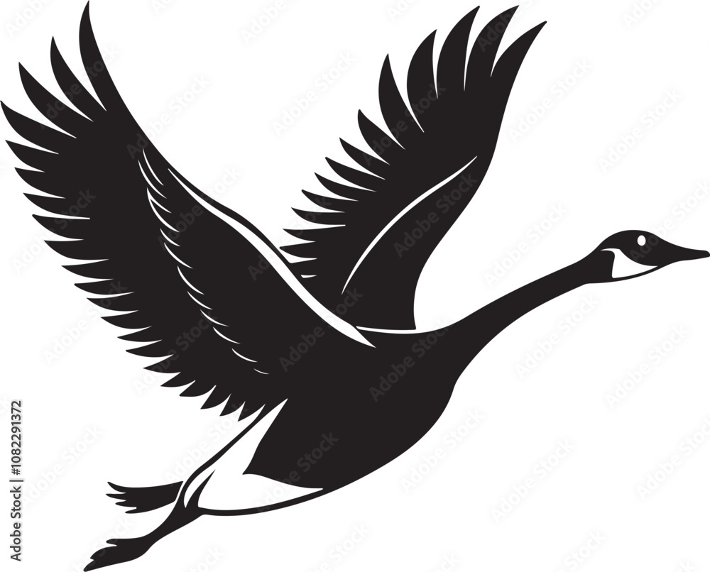 Fototapeta premium Whooper Swan vector illustration