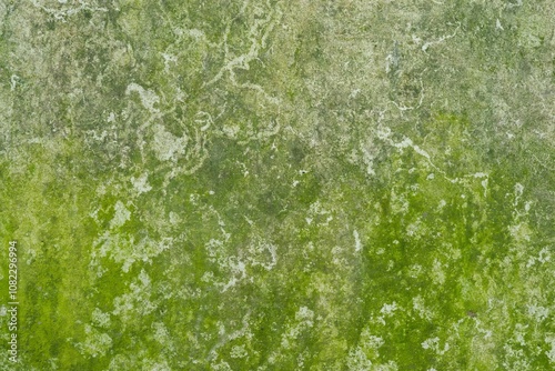 green grass texture. grunge background surface with scratches. random pattern with details.