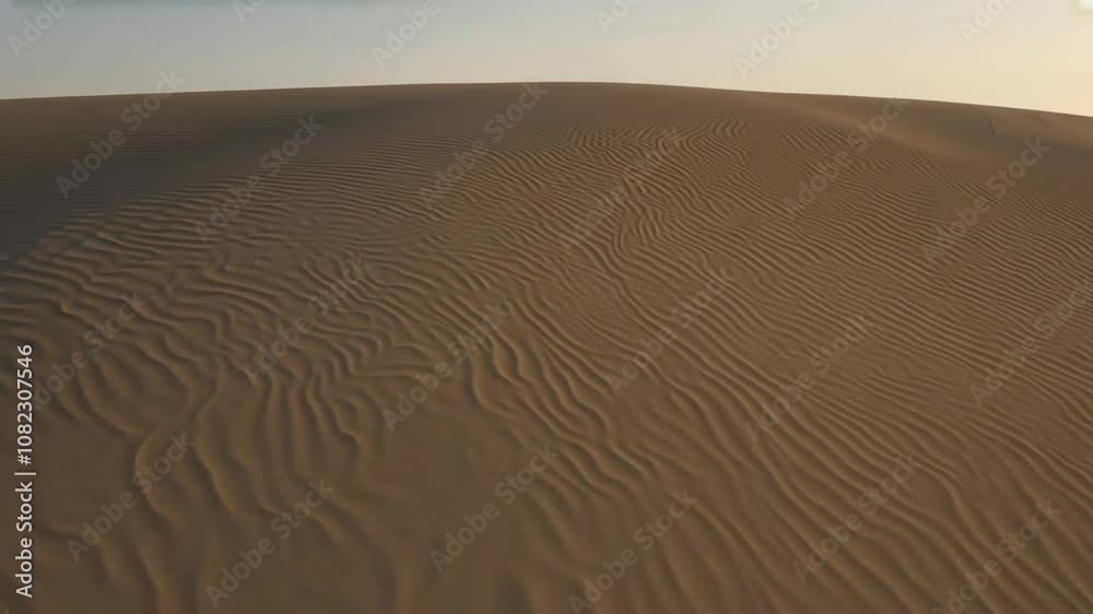 Sand Dunes in the Desert Sand Dunes in the Desert