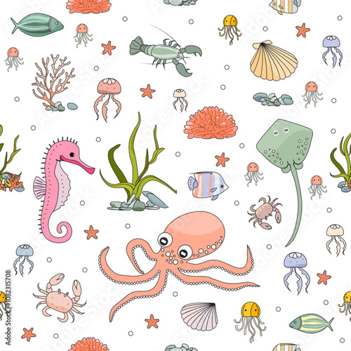 Pattern Underwater Seabed Ocean Sea Marine habitat