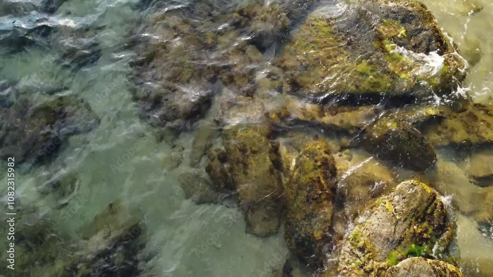 This clip features a mesmerizing top-down view of rugged coastal rocks submerged in clear, shallow waters. Light reflections create a tranquil yet dynamic depiction of marine life along the shoreline. This clip features a mesmerizing top-down view of rugged coastal rocks submerged in clear, shallow waters. Light reflections create a tranquil yet dynamic depiction of marine life along the shoreline.