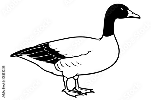 realistic goose animal  silhouette vector