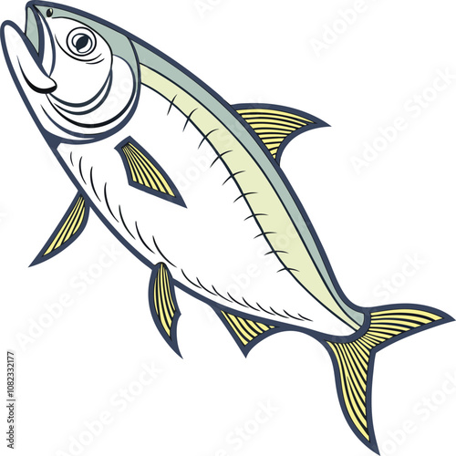 vector Drawing  of a attractive hilsa fish